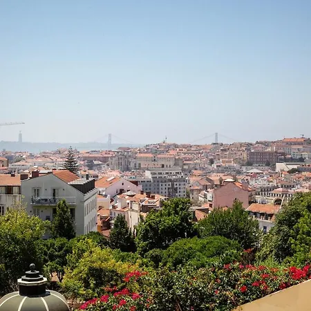 Apartman Olarias Steps | A Mouraria